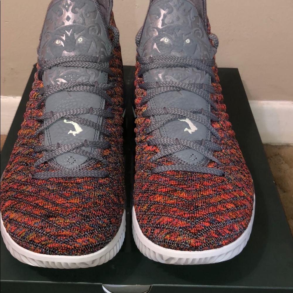 PRICED TO SELL MENS LEBRON 16’s “MULTICOLORED “